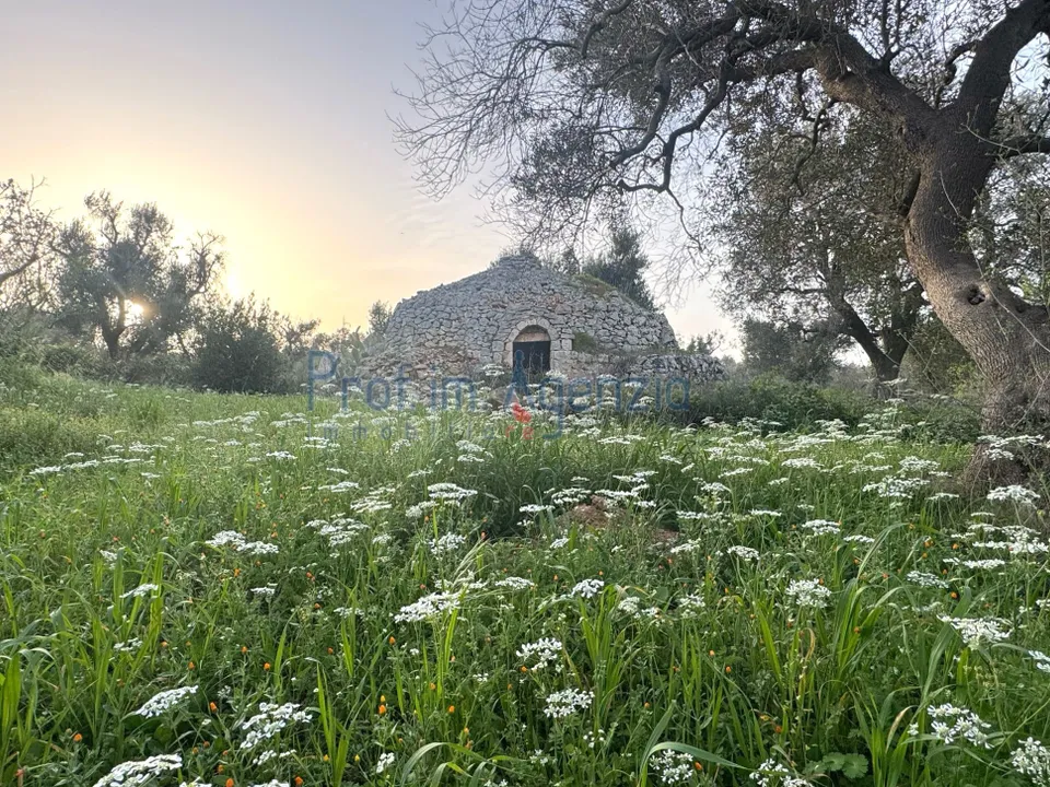 Landejendom i Carovigno, Brindisi - foto 2